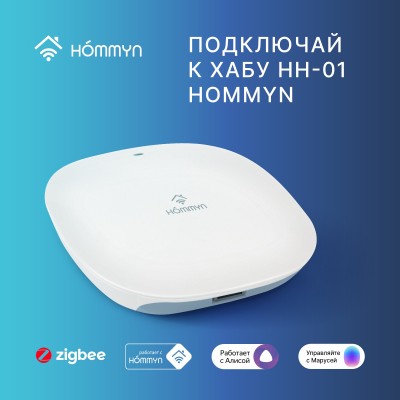 Датчик температуры и влажности HOMMYN HTSZ-01 Датчик температуры и влажности HOMMYN HTSZ-01