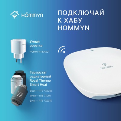 Комплект три умные розетки и хаб HOMMYN SP3HOMKIT07 Комплект три умные розетки и хаб HOMMYN SP3HOMKIT07