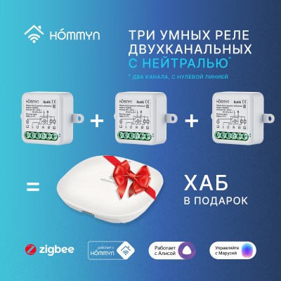 Комплект три умных реле (2 канала с нейтралью) и хаб HOMMYN RN02HOMKIT11 Комплект три умных реле (2 канала с нейтралью) и хаб HOMMYN RN02HOMKIT11