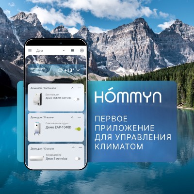 Модуль съемный управляющий HOMMYN HDN/WFN-02-01 Модуль съемный управляющий HOMMYN HDN/WFN-02-01