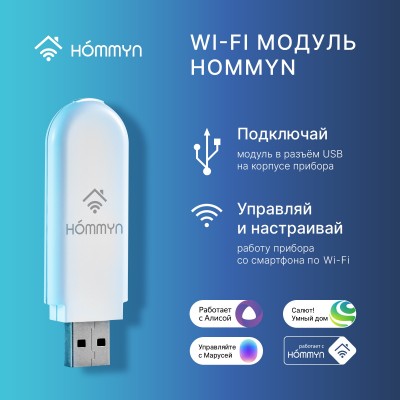 Модуль съемный управляющий HOMMYN HDN/WFN-02-01 Модуль съемный управляющий HOMMYN HDN/WFN-02-01